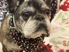 Happy holidays!