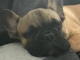 Rusty- help please!!
