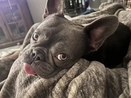 Hello Everyone!