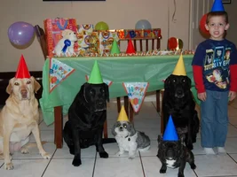 Party Animals!