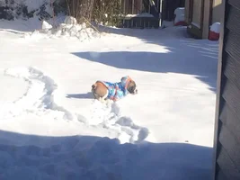 Snow??? NO!!!!!!