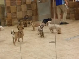 Quella does Daycare