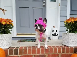 Costume or no costume?