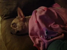 Poor baby is sick :(
