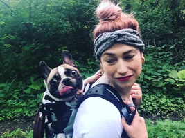~ENTER HERE~ June Frenchie of the Month "Mother's & Father's Day"