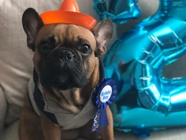 Taco Twos-Day Birthday Party