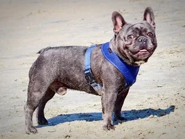 Labor Day weekend = Beach time!!!