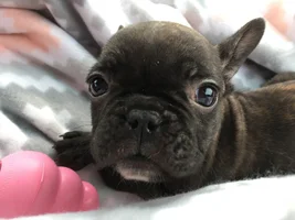 Do You Have That Very First Time Photo?
