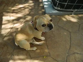 Foster Rocco stopping by...