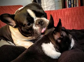 Benjamin getting royal treatment