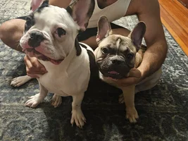 Biggie & Chico