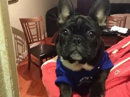 Hello Meet Mase