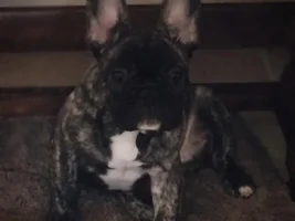 Monte and Reese updated pics