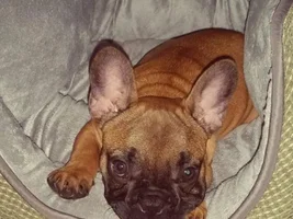 My sweet boy!