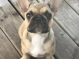 Do You Have That Very First Time Photo?