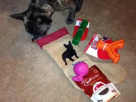 4 Paw Secret Santa Sharing Thread 2014