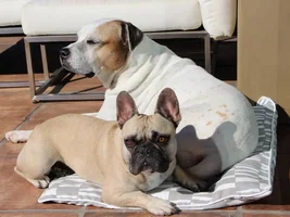 Best friend visit