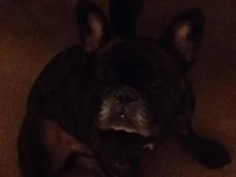 Cheli hanging out