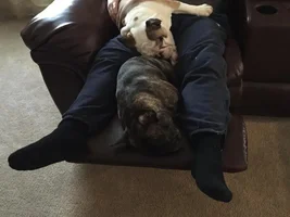 Silly Daddy...