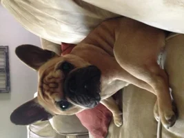 Maizy's Mom