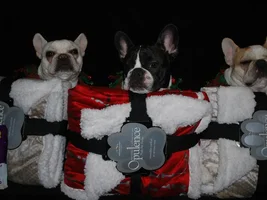 4 Paw Secret Santa Sharing Thread 2014