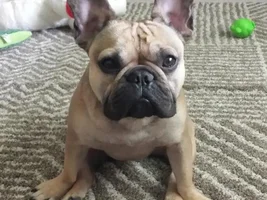Sitting Style