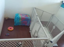 Need advice for crate and pad training PLEASE!!!!