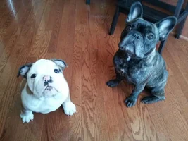 Double Trouble