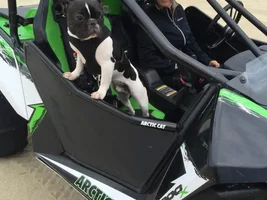 Harness advice