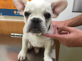 I have a new brother!