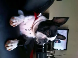 Hi :) Welcome lil Diego
