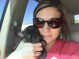 French Bulldog News is still under construction