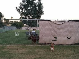 Dog Park