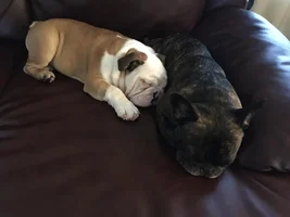 Naptime with Daddy - Cheli and Lambeau