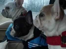 First ride!!!