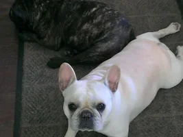 Hazel and Hillary