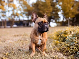 Stealing the spotlight at our engagement photoshoot . .