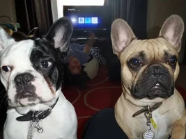 The Boys