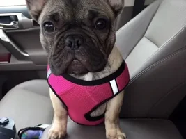Getting ready for our road trip!