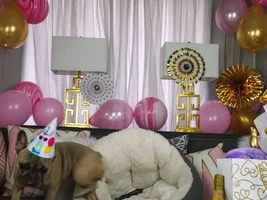 Maple Turned 1 Today