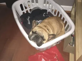 Overwhelmed and looking for advice