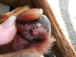 Mo's health thread
