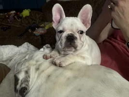 Tobie’s momma