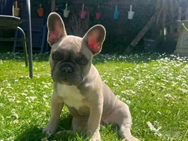 Bella photo of the month June