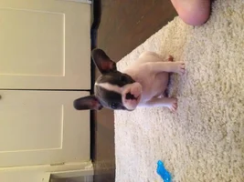 Pink body *picture inside*