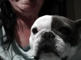 ~ENTER HERE~ April 2019 Frenchie of the Month "SMILING FRENCHIES"