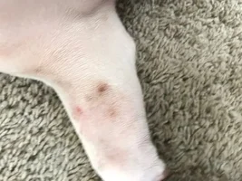 Skin Problems!