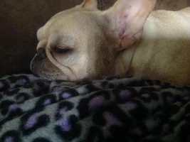 Awww my baby is sleepy