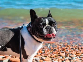 Beach Baby