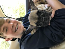 ~ENTER HERE~ May Frenchie of the Month Contest "Frenchies with Children"